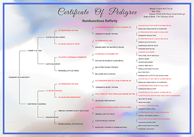 Pedigree Certificate