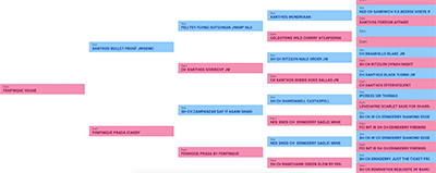 Auto Lineage Tooling